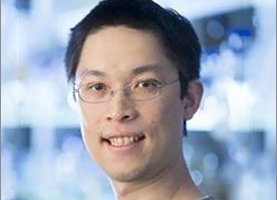 Molecular Mechanism of Cell Death and Why It Matters: Dr. Ivan Poon Discusses His Findings